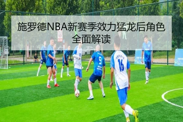 施罗德NBA新赛季效力猛龙后角色全面解读
